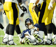Testaverde photo